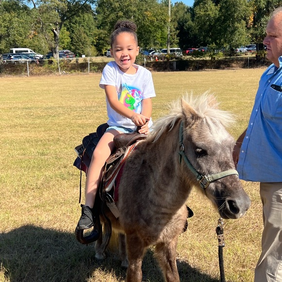 Meet your Posher, Amber - Picture 5 of 6